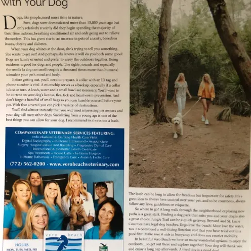 Enjoy the great outdoors with your dog article